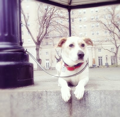 Cooper, UWS