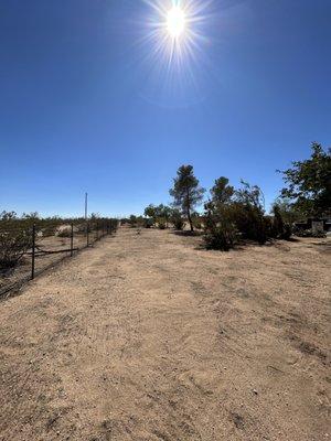 Mojave Landscaping