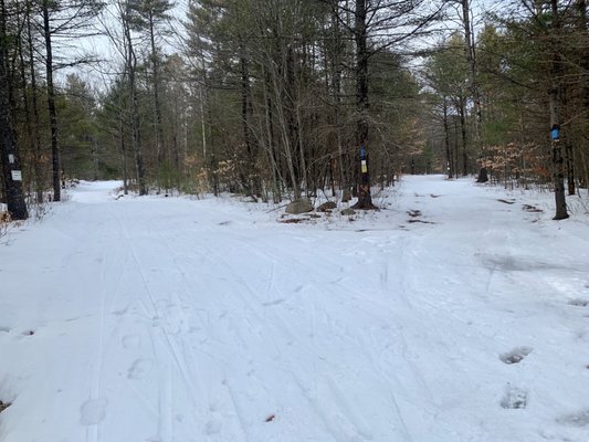 Ski only trails in the winter.