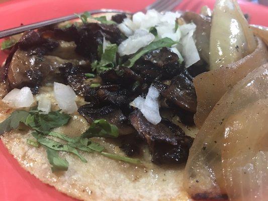 Mushroom taco with fresh handmade tortilla