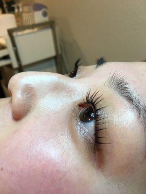 Lash lift