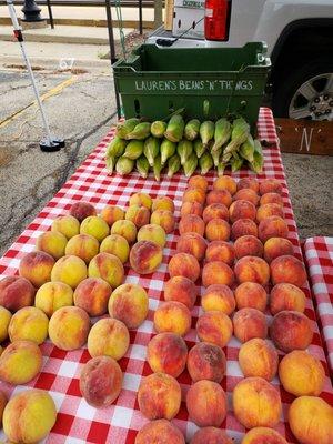 Lauren's Beans n' Things: beautiful peaches!