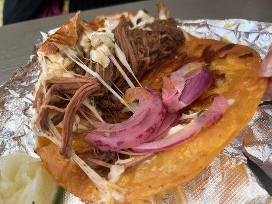 Birria taco