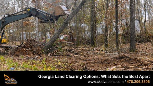 Georgia Land Clearing Options