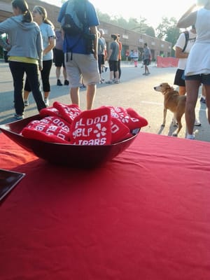 Yelp representing at Safe Haven 5k