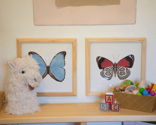 Detail shot showing realistic butterflies for Montessori