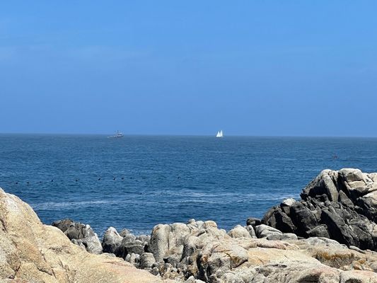 Pacific Grove Shoreline Parkway Marine Refuge