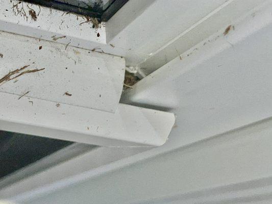 No bushing between the screen and the window track Bees, spiders, wasps nests