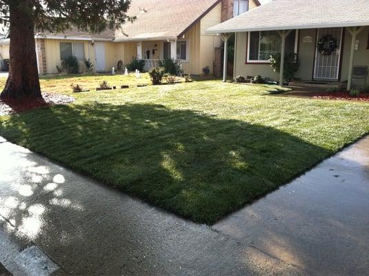 New lawn and planters!