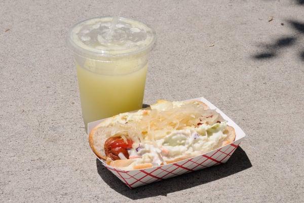 Hebrew National New York Style Hot Dog with mustard, sauerkraut, coleslaw, & Potato Salad.