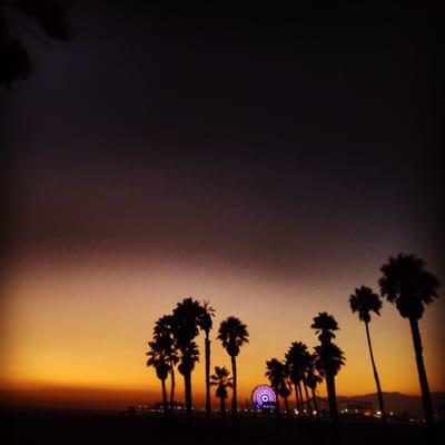 Santa Monica pier. Dodger blue.