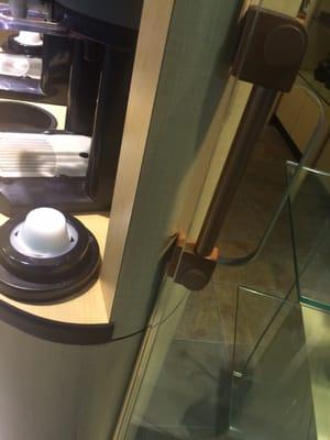 This is a picture of a roach on the teavana complimentary tea stand.