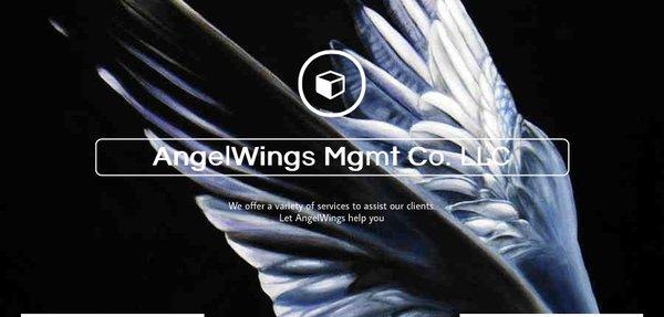 AngelWings Mgmt Co LLC