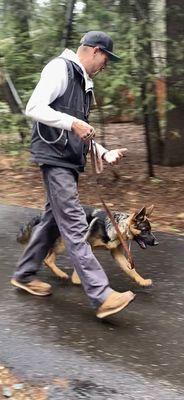 Ridley K9 Academy Dog Training