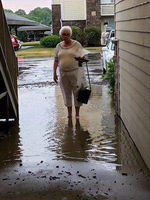 That was last fall. The debris of mulch still clutters the hall. Wow.  Go ahead and call it your own lake if you'd like!