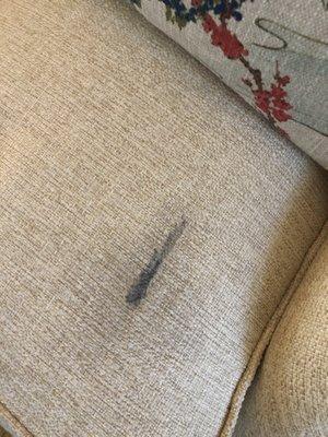 Dry erase marker on my brand new couch