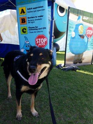 SRP booth was super nice...alley enjoyed the bean bag games