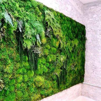 Spa with preserved moss wall. Life like because it's made from real mosses and ferns.
  Lasts for 20 years with NO care.