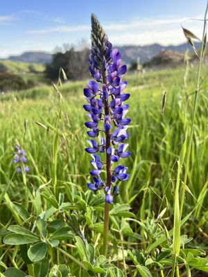 Chumash Trail