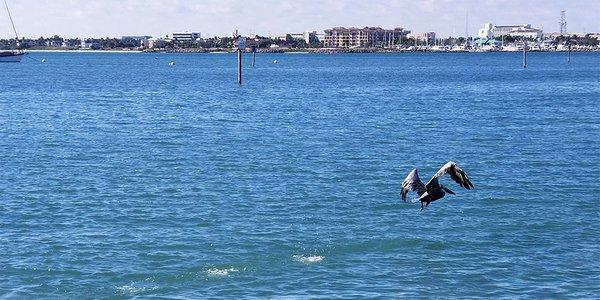 Indian River Lagoon at Intracoastal