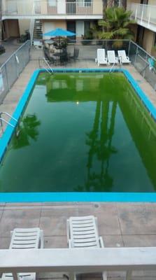 That pool is pretty darn green.  St. Pat's day?