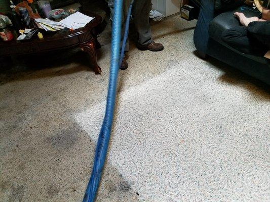 Carpet Cleaning