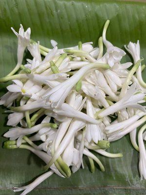 Fresh Indian Tuberose (Lily) Flowers