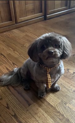 My handsome little Man.. even surprised me with the cute tie