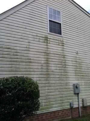 EWWWWWW This siding is in need of a good cleaning!