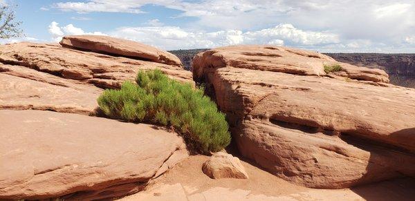 Some rocks that look very cameragenic