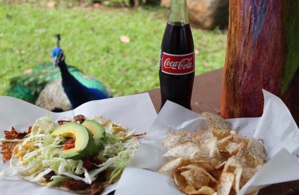 pork taco taro chips and a mexican coke