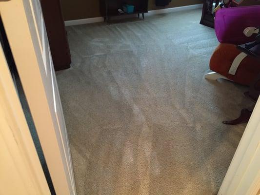 This carpet was previously filthy, and now it looks brand new!