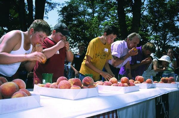 Palisade Peach Festival