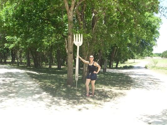 I'm at a fork in the road...ha ha ha