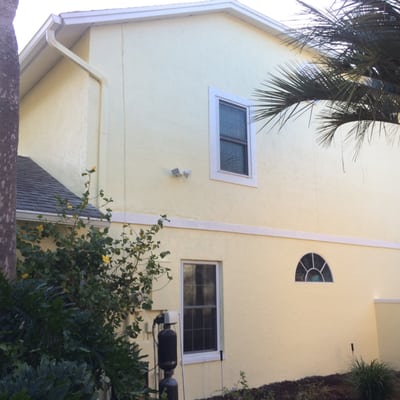 Exterior Painting - Yellow Stucco in Tampa, FL