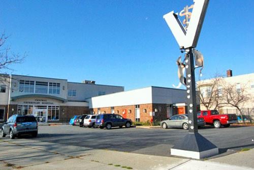 Central Veterinary Hospital, minutes from downtown Albany.