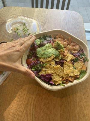 Shrimp & Avocado salad