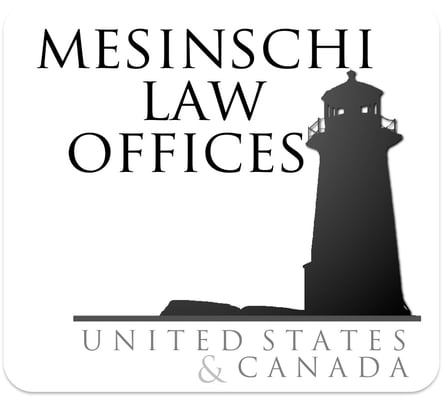 Mesinschi Law Offices