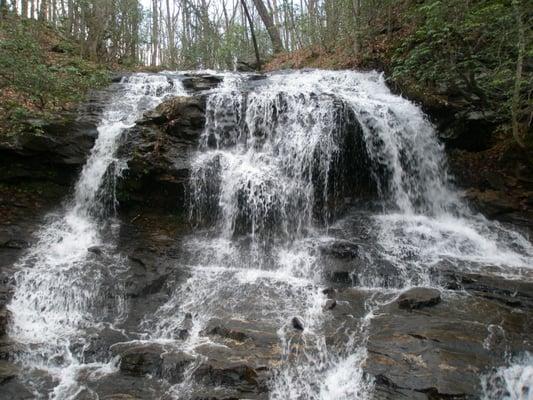 The wonders of nature abound in Big Canoe