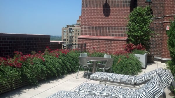 Beautiful Rooftop Terrace