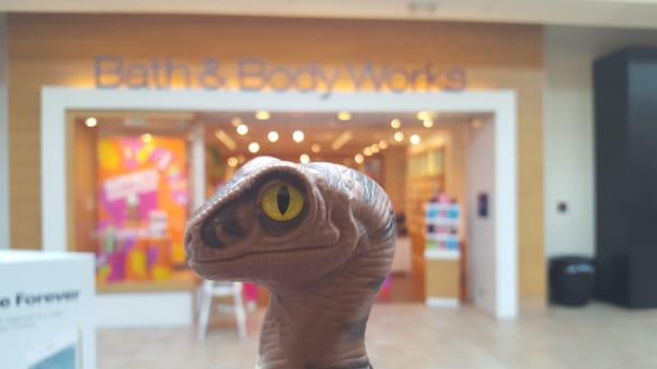 Bob the Raptor Says "This is Bath & Body Works... Mammals come here to get things that make them smell nice."