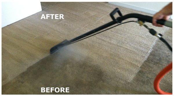 steam carpet cleaning Eugene