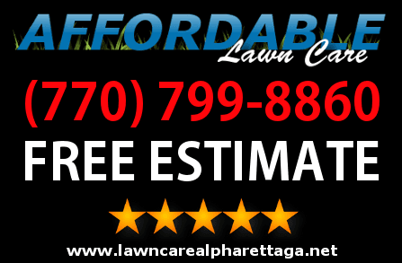 Affordable Lawn Care Services