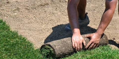 Arkansas Sod & Turf Farm