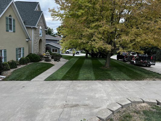 Platinum LawnScapes