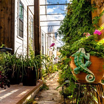 Paved pathway in a sideyard in Mueller