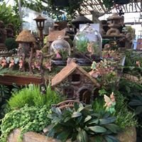 Fairy Garden fun