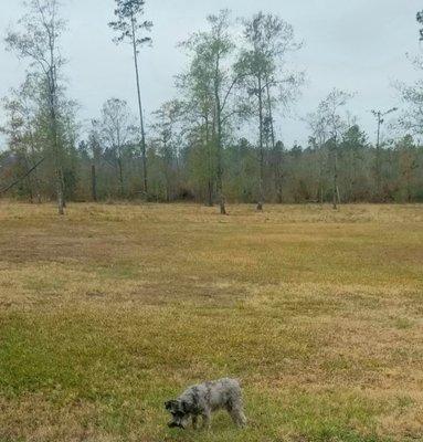 Southwest Louisiana Veterinary Clinic