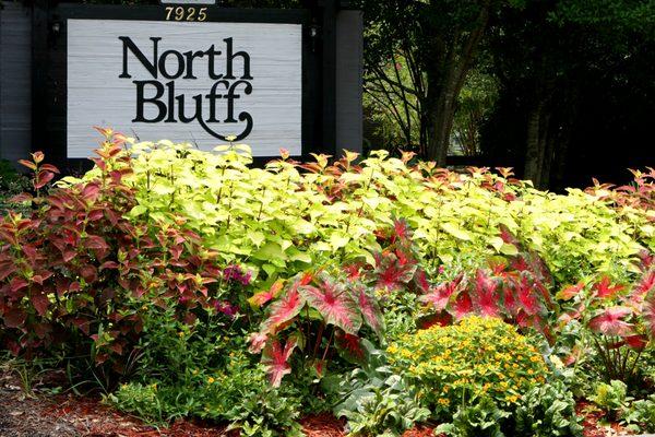 North Bluff Apartments