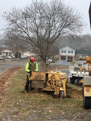 Stump grinding